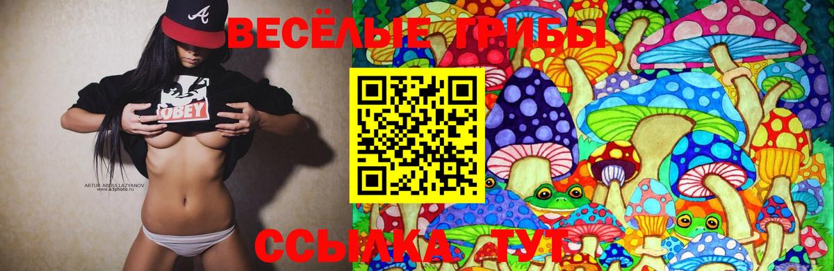 Псилоцибиновые грибы ЛСД  Галлюциногенные грибы Magic Shrooms  Выкса  Вход с VPN 